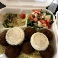 Falafel Plate · 6 Falafel, lettuce, tomato, cucumber, pickle and a choice of hummus or baba ghanouj. Vegetar...