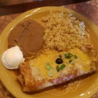 Chimichanga · Deep-fried tortilla stuffed with your choice of chicken,
ground beef, shredded beef, pork, b...