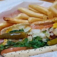 Chicago Dog · Mustard, relish, onion, pickle, tomato, sport peppers, cucumber and c salt.