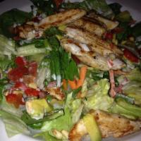 Chicken and Avocado Salad · 