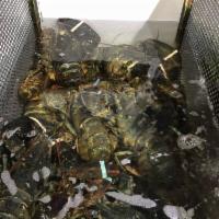 Fresh Live Lobsters · 