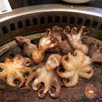 Baby Octopus · 