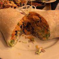 Halsey Burrito · Choice of meat or veggie with rice, beans, salsa, cheese, lettuce and sour cream or yogurt.