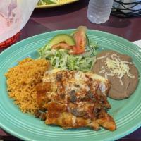Enchiladas · 3 tortilla wraps, served with your choice of salsa, red, green, or mole.