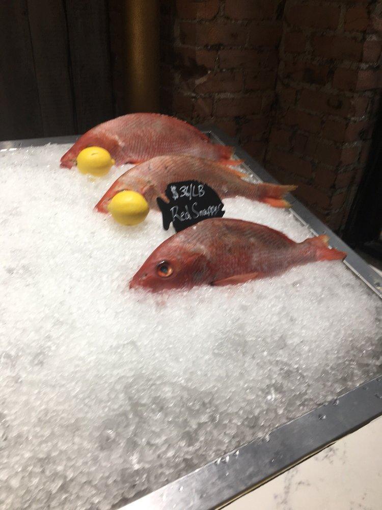 American Red Snapper · 