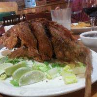 Snapper · 