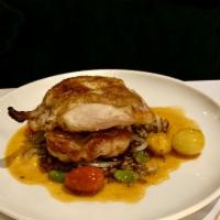 Pan Seared Chicken · Sprouted rye berry, shallots, fava beans, confit tomato and au jus.