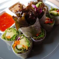 Fresh Rolls · Rice paper roll, avocado, red leaf lettuce, cilantro, shredded red cabbage, carrots, cucumbe...