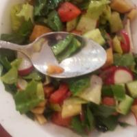 Fatoush · Mix of lettuce, cucumber, tomatoes, radish, green onions, mint, olive oil, lemon juice and s...