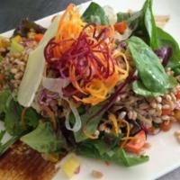 Farro Salad · Organic spring mix, green peas, spaghetti carrots, cherry tomatoes, artichokes, Pecorino Rom...