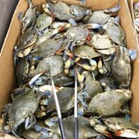 Maryland Blue Crabs · 