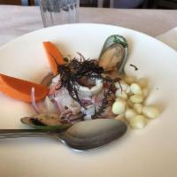 Ceviche Mixto · Mixed seafood marinated in lemon juice.