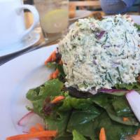 Albacore Tuna Salad with Dill · 
