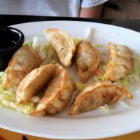 Pan Fried Dumplings / · 