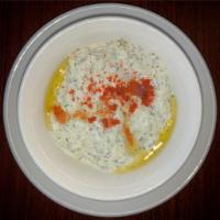 Tzatziki Sauce · Grated Cucumbers in Greek Yogurt & Spices
