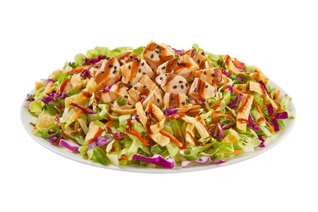 Asian Chicken Salad · Chicken, shredded lettuce, carrots, cabbage, green onions & cilantro with wonton strips, sesame seeds and Asian dressing on side