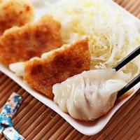 12. Pork Dumplings (5 Pcs ) 猪肉饺子 · Choose steamed or pan fried.