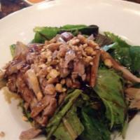 House Special Duck Salad · Duck meat over green salad with peanuts and house special sauce.