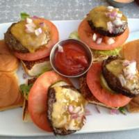 Kid's Mini Cheeseburgers · 2 well-done mini burgers, american cheese and pickles on mini Hawaiian buns.