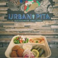 Veggie Plate Combo · 3 pieces of falafel and 3 pieces of dolmades. Served with Greek salad, hummus, and pita bread.