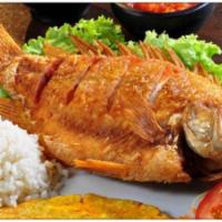 Mojarra · Traditional Colombian fish, served with rice, green plantain and salad.