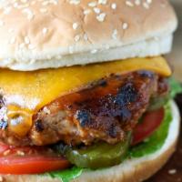 Turkey Burger · Turkey Breast with option Mayo, Mustard, Ketchup, Pickles, Lettuce, Tomatoes & Onions. With ...
