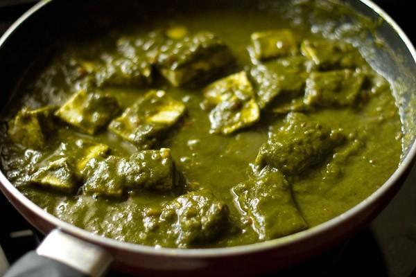 Palak Paneer · Homemade cottage cheese cooked with fresh spinach and spices.