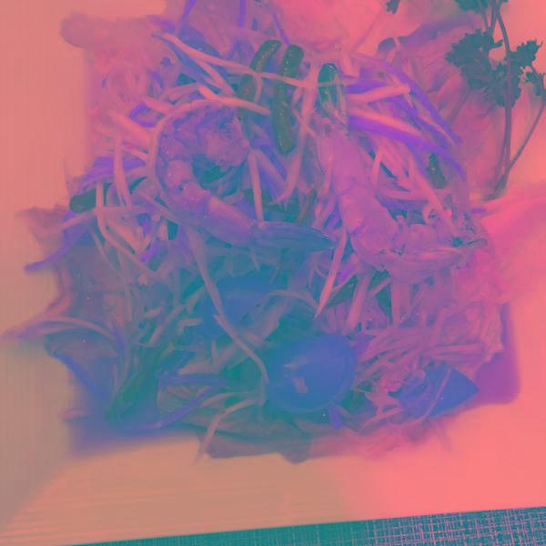 Y3. Papaya Salad · Shredded papaya infused with our lime dressing, served on a bed of lettuce.