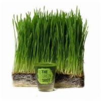 Wheat grass shot · Organic wheat grass seeds - cultivated in organic soil in upstate New York