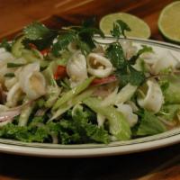 19. Squid Salad · Fresh squid salad with onion, garlic fresh chili and lime juice. Spicy.