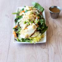 Asian Chicken Salad · Organic mixed greens, free-range chicken, edamame, carrots, cabbage and wonton strips with m...