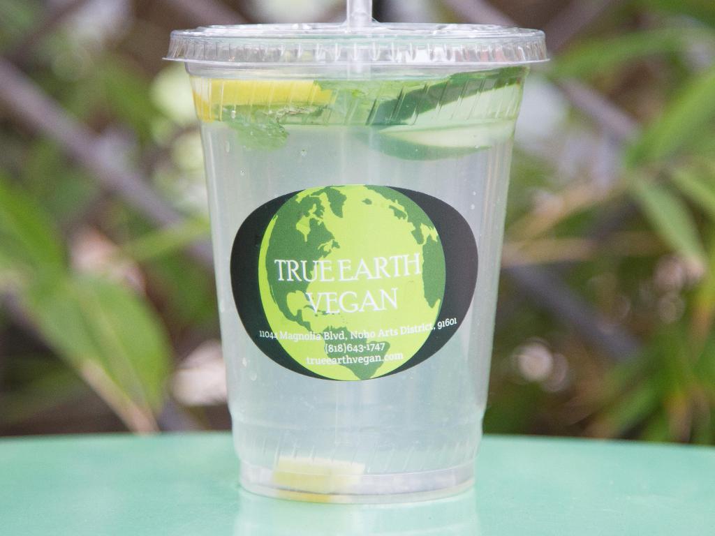 True Earth Juicery and Vegan Cafe · Breakfast · Coffee and Tea · Juice Bars & Smoothies · Vegan · Gluten-Free