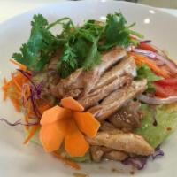 Oriental Chicken Salad · Grilled chicken, lettuce, tomatoes, onions served with Vietnamese​ vinaigrette.