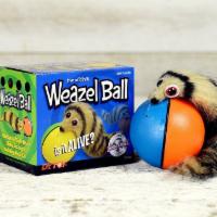 Weazel Ball · Is it alive? The playful weazel chases and jumps the rolling motorball. The Weazel Ball ® is...