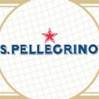 San Pellegrino Sparkling Mineral Water .5L · 