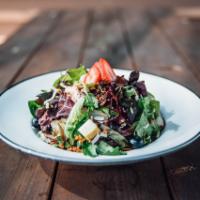 Chicken Berry Pecan Salad · Grilled chicken, mixed greens, strawberries, blueberries, granny smith apples, candied pecan...