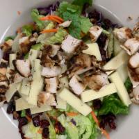 Apple Harvest Salad · Chopped lettuce, grilled chicken breast, crisp apples, dried cranberries, sharp cheddar chee...