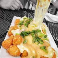 Tot Poutine · Tater Tots, Turkey Gravy, Cheese Curds