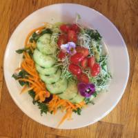 Green Salad  · Mixed greens, lemon chia dressing, carrots, cucumbers, pickled red onion, sprouts and sesame...
