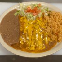 Enchiladas Tex-Mex · Served with 3 enchiladas, refried beans, rice and salad. Choice of ground beef, shredded chi...