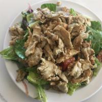 28. Chicken Salad · Greek salad topped with chicken shawarma.