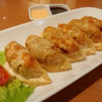 Fried Dumplings · Fried dumplings drizzled with our special sauce.