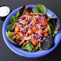 Side Salad · Organic field greens, tomato, red cabbage, carrots, red onion and choice of dressing.