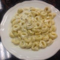 Tortellini Alfredo · Cheese filled pasta. Served with bread and mini salad.