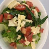 Mozzarella Caprese Salad · Fresh mozzarella, tomatoes, fresh basil and greens.
