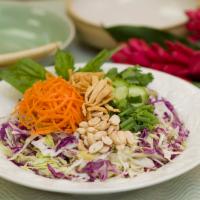 Satay with Chicken Breast · grilled chicken, romaine, cabbage, carrots. cucumbers, won tons, peanuts, cilantro, basil, g...