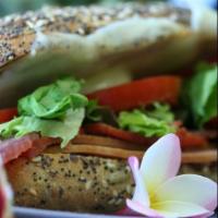Vegan Club Sub · Vegan turkey, avocado, vegan bacon, tomatoes, lettuce, veggie mayo on your choice of bread.