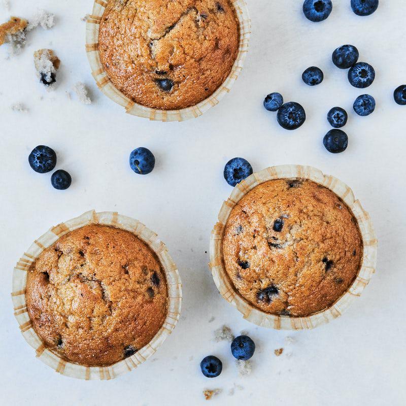 Blueberry Muffin · 