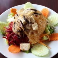 Tossed Salad · Romaine heart, napa, carrots, onion, garlic, shredded beets, cucumber, shiitake, glass noodl...
