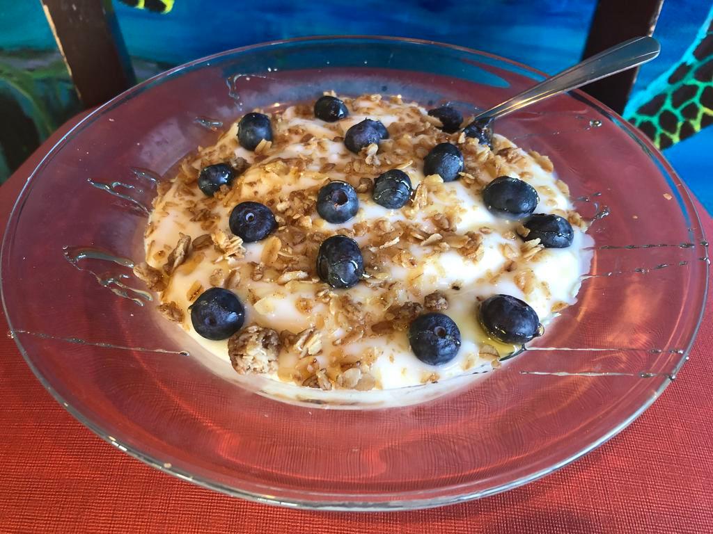Healthy Bowl · Vanilla Greek yogurt topped with honey, granola and fresh blueberries.